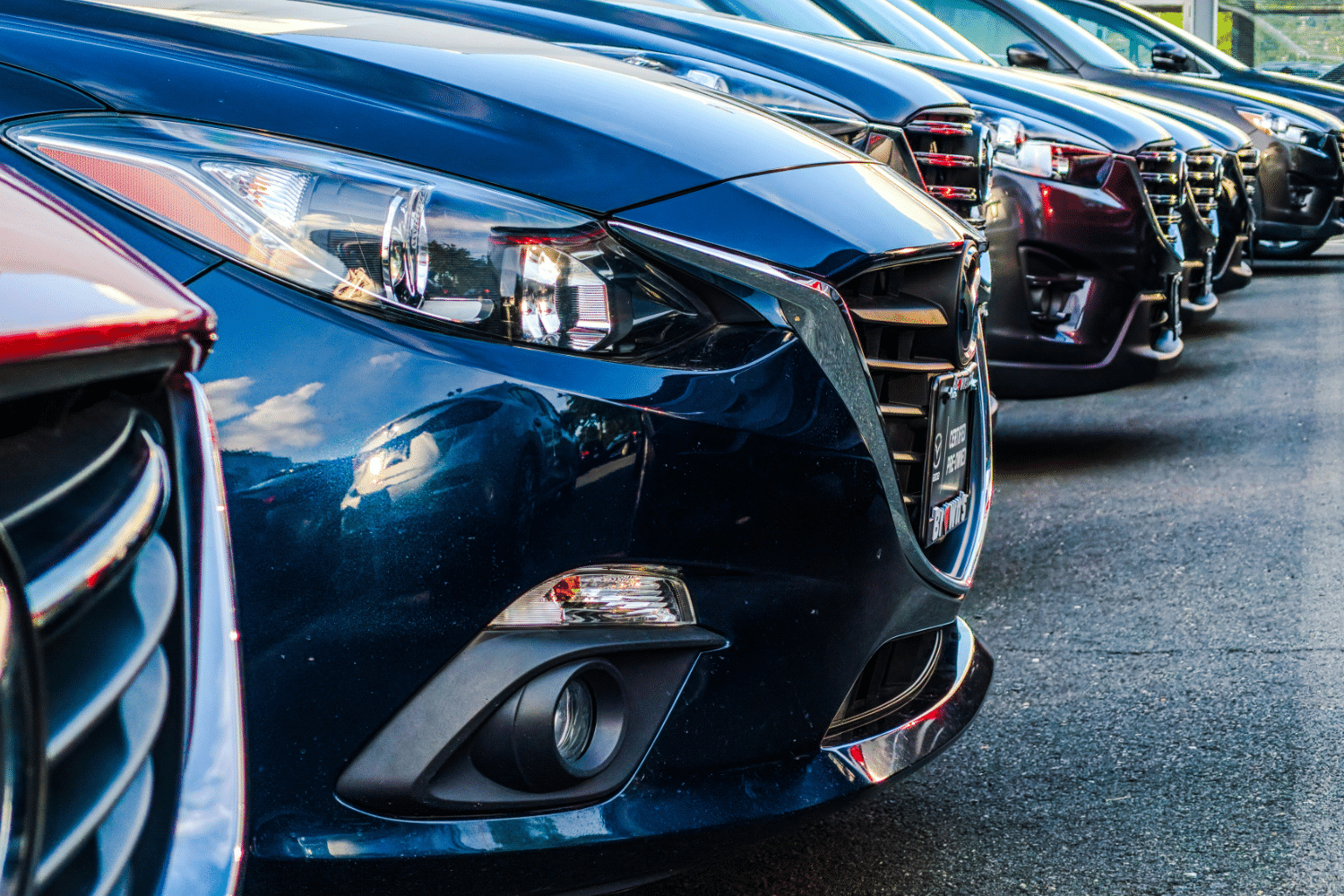 Vehicle Line Up